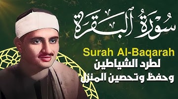 سورة البقرة   رقية وحفظ من الشياطين وابعاد السحر