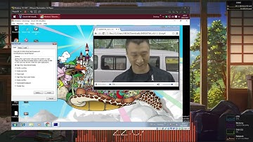 Windows 7 BSOD VM Compilation P8