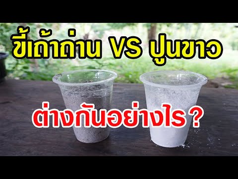 วีดีโอ: คุณจะบอกความแตกต่างระหว่างขี้เถ้าสีขาวและสีเขียวได้อย่างไร?