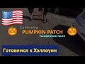 Pumpkin patch near me Готовимся к Хэллоуин 2019 | Iphone 11Pro 4K | DaVinci Resolve 16