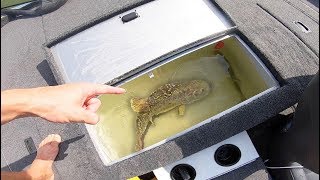 WE GOT A BIG ONE!