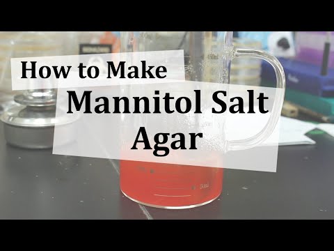 How to Make Mannitol Salt Agar