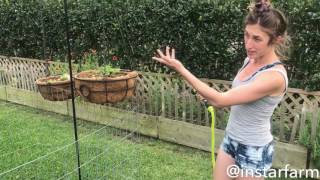 The BEST garden hose & nozzle!