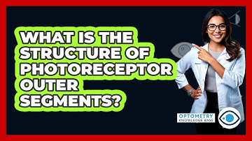 What Is The Structure Of Photoreceptor Outer Segments? - Optometry Knowledge Base