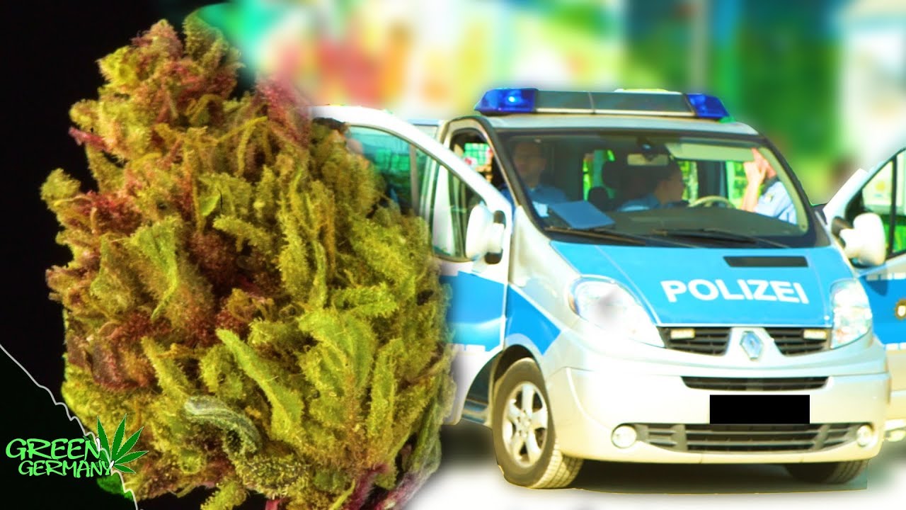 WEEDCHECK mit der POLIZEI | 420 im Görlitzer Park