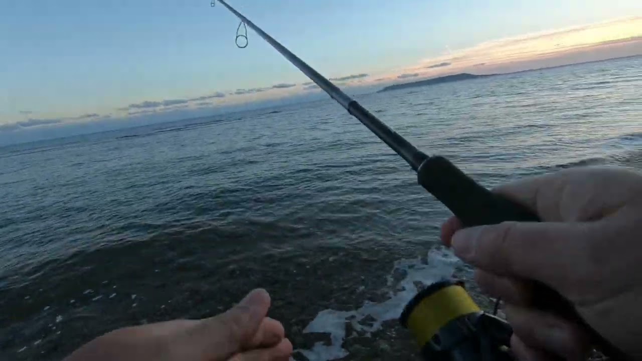 Autumn bass fishing with lures in Dorset