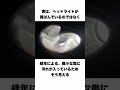 ヘッドライトの黄ばみに関する面白い雑学 #shorts