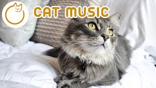 Relax Your Cat - 6 HOURS of Soothing Music for Felines 🎼