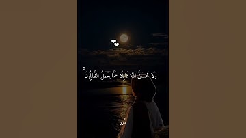 القرآن الكريم 🫀🎧 #القران_الكريم #اكسبلور #دويتو #المصحف #قران #راحة_نفسية #duet