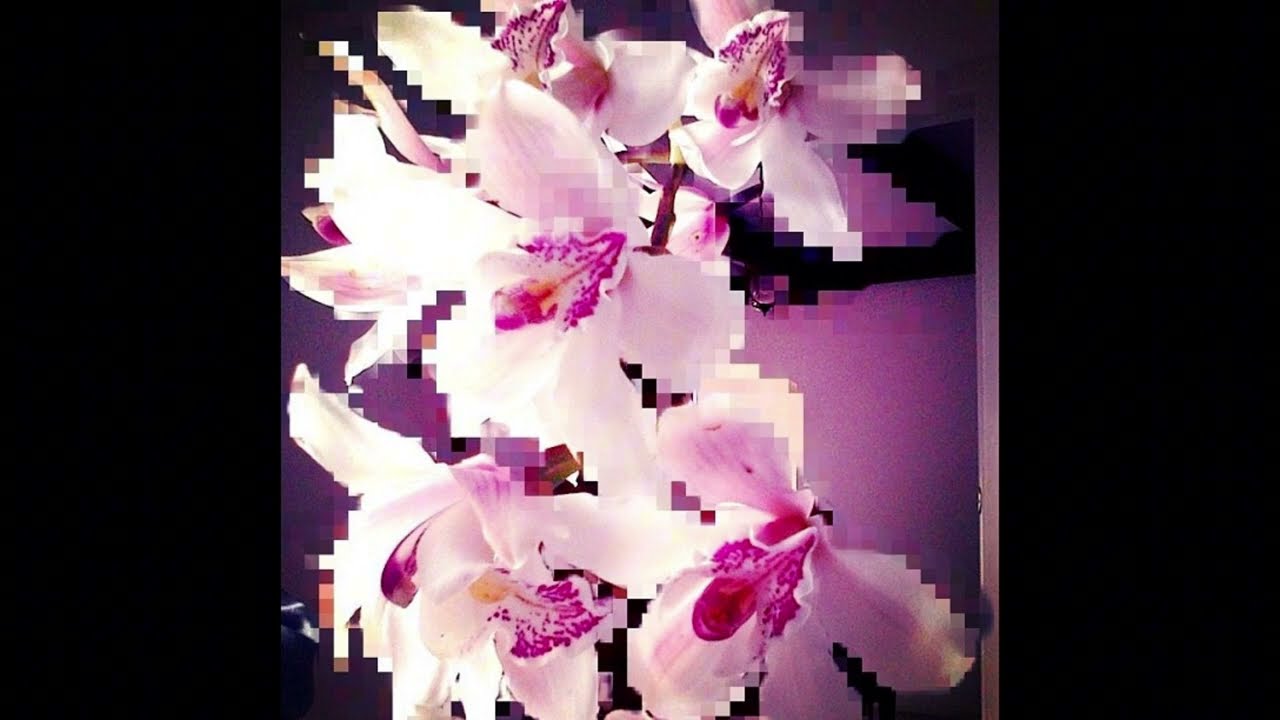 [FREE] Lil Uzi Vert + Lil Tecca Type Beat - 