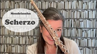Mendelssohn SCHERZO: orchestral flute TUTORIAL screenshot 2