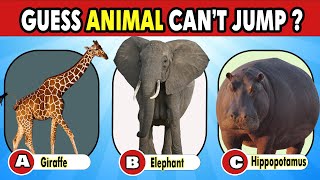 Guess The Animal 🦓 || Test Your The Animal Knowledge || Animal Quiz screenshot 2