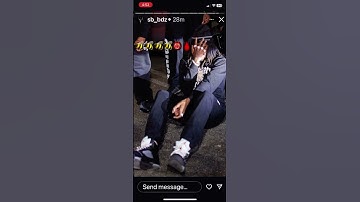 Shawny Binladen Instagram Story Snippet 2025