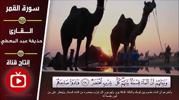 تلاوة سورة القمر من آية (28) إلى آية (34)