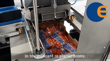 Case packer BD606 – EGATEC A/S