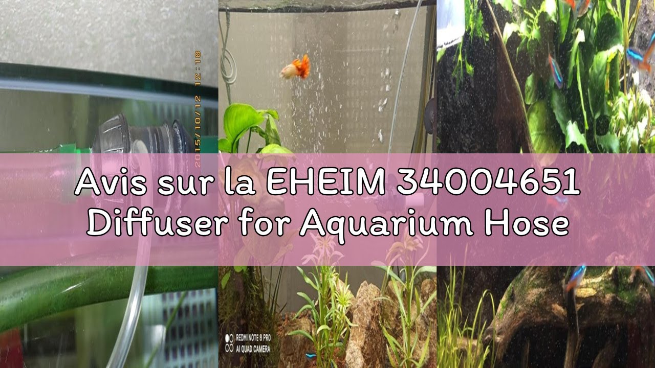 Avis sur la EHEIM 34004651 Diffuser for Aquarium Hose