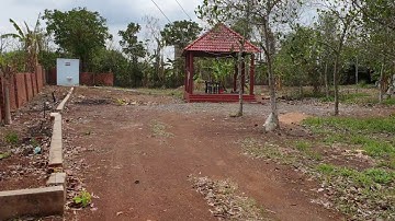 NVT659 Bán vườn mít đang thu hoạch dt 3500m2 xã Long Phước, tp Bà Rịa giá 4 tỷ