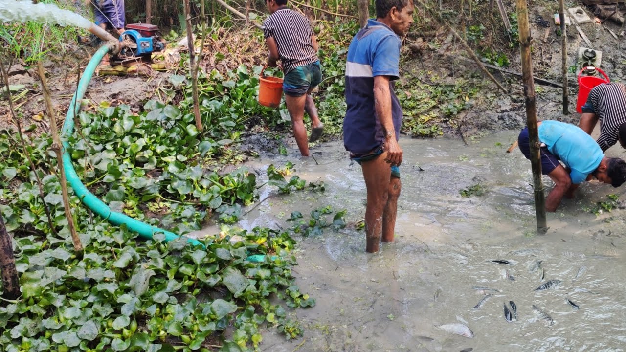 best traditional Fishing🐟 video and village 