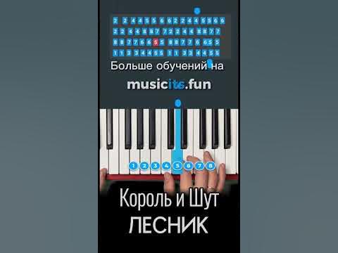 Как играть🃏Король и Шут - Лесник на пианино 🎹по цифрам👆#обучение # ...