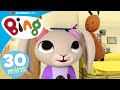 Bing Official | Bing is Playing with Coco today!