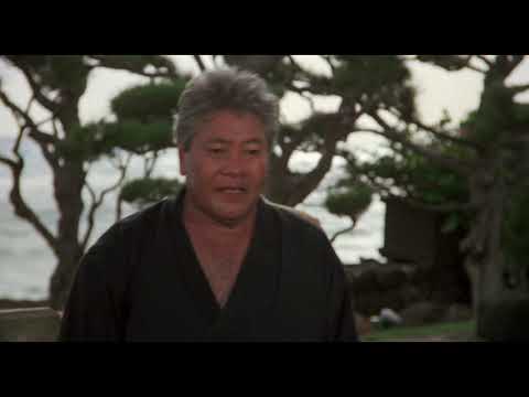 Karate Kid II - Sato