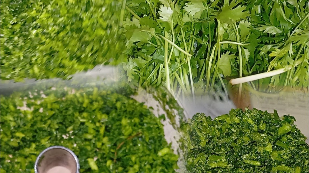  سرّي باش القسبر والمعدنوس يبقاو طريين حتى6 اشهر نستعملهم وقت ما نحب!ما ترميش الخضر! 