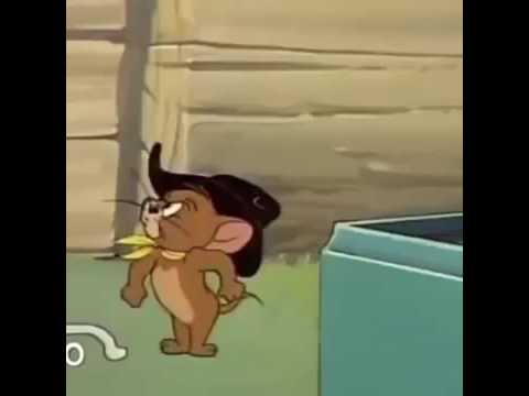 Azeri Tom ve Jerry