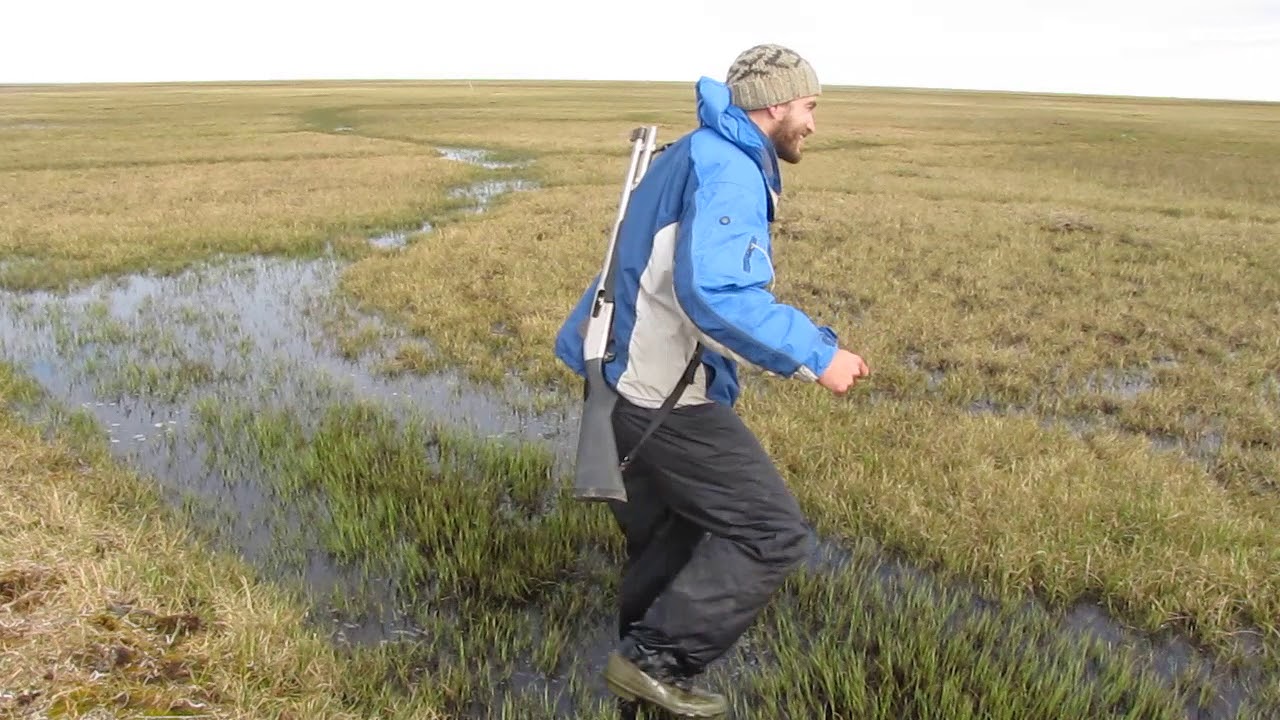 Jeremy shows how unstable the tundra may be in some places in Atqasuk.