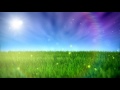 Лужайка. Трава. (анимация)  #ФУТАЖ