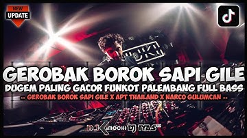 DUGEM PALING GACOR GEROBAK BOROK SAPI GILE FUNKOT PALEMBANG 2025 | Dj iyas