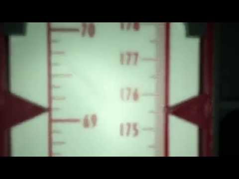 Height Increase of Day 20 (Increasing Height After 25; Growing Taller