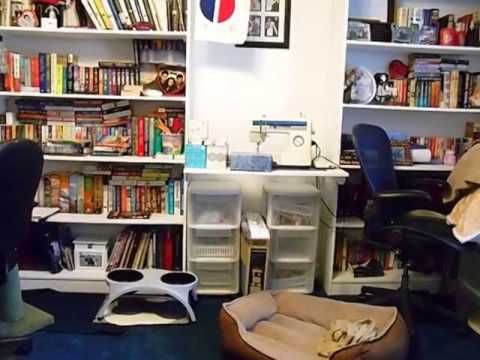 501 Cloverfield Ln, Conway, SC home video tour