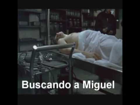 Buscando a Miguel (Film)