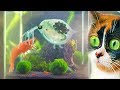 UNDERWATER TERRARIUM, BIG CHANGES!