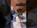 سلطة الفلفل الحار