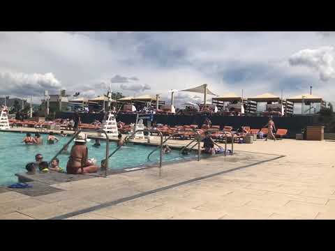 Flamingo Hotel And Casino Las #fyp #shorts #parati #strip #flamingo #hotel #casino