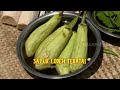 Masak Sayur Lodeh Teratai | JEJAK ANAK NEGERI (26/11/21)