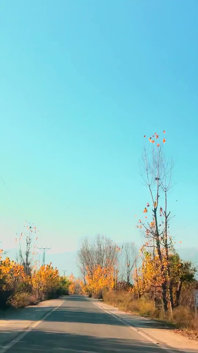 Sultan tourism videography
