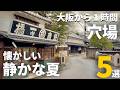 【関西・穴場】大阪から1時間「懐かしい静かな夏」絶景5選