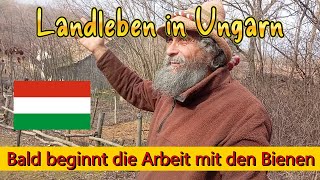 Bald Beginnt Die Arbeit Mit Den Bienen Landleben In Ungarn