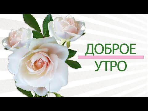 🌺Доброе утро🌺С любовью