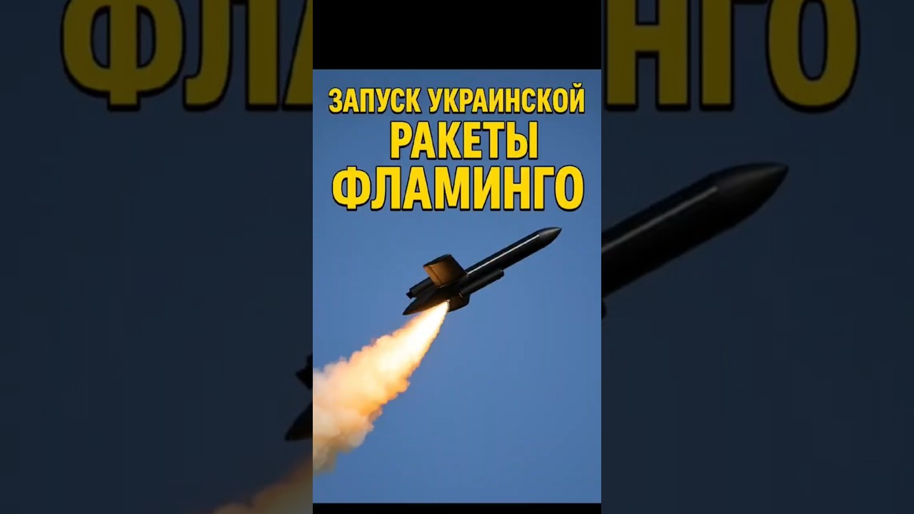🚀 «Фламинго» в небе! Украина показала ракету, которая бьёт на 3000 км