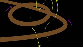 Magnetic Flux