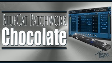 How to Control Blue Cat