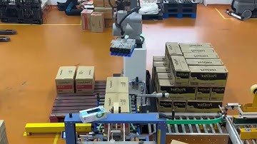 Warsonco Intelligent Cobot Palletizer | Palletizing 2 SKUs Simultaneously