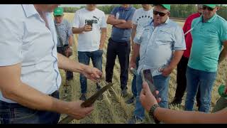 :      No-till    ,   
