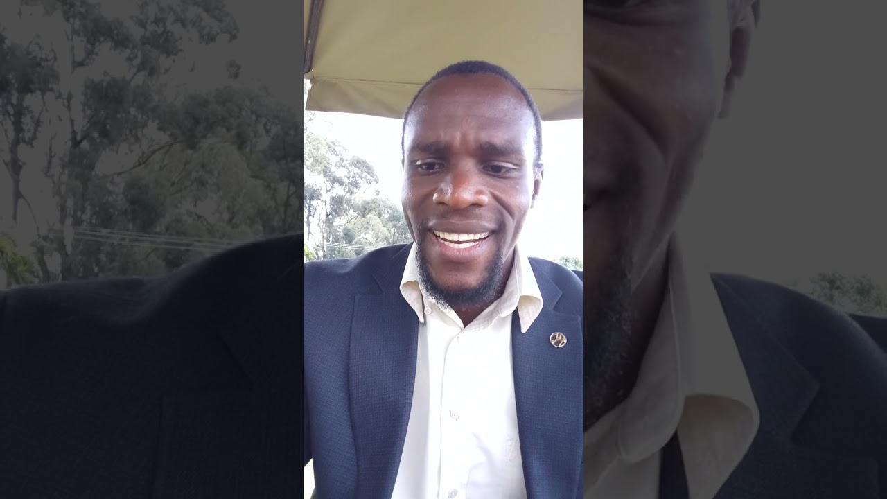 What are the core pillars of a wealth creation system