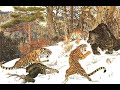 Ussuri brown bear vs siberian tiger interaction analysis