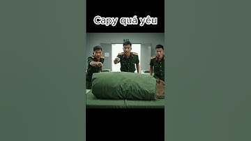 Capybara Ngày thứ N trong Doanh Trại  #capydethuong #funny #capybara