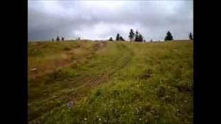 The Adventures Of Gnomie Schiffner--Chapter One Gnomie Goes Camping